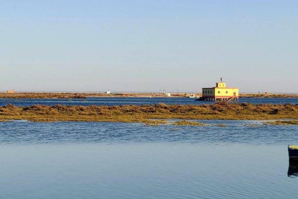 Casa Pombalinho, An Old Fisherman Cottage 푸제타 외부 사진
